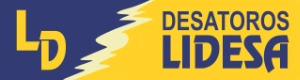 Desatoros Lidesa - logo